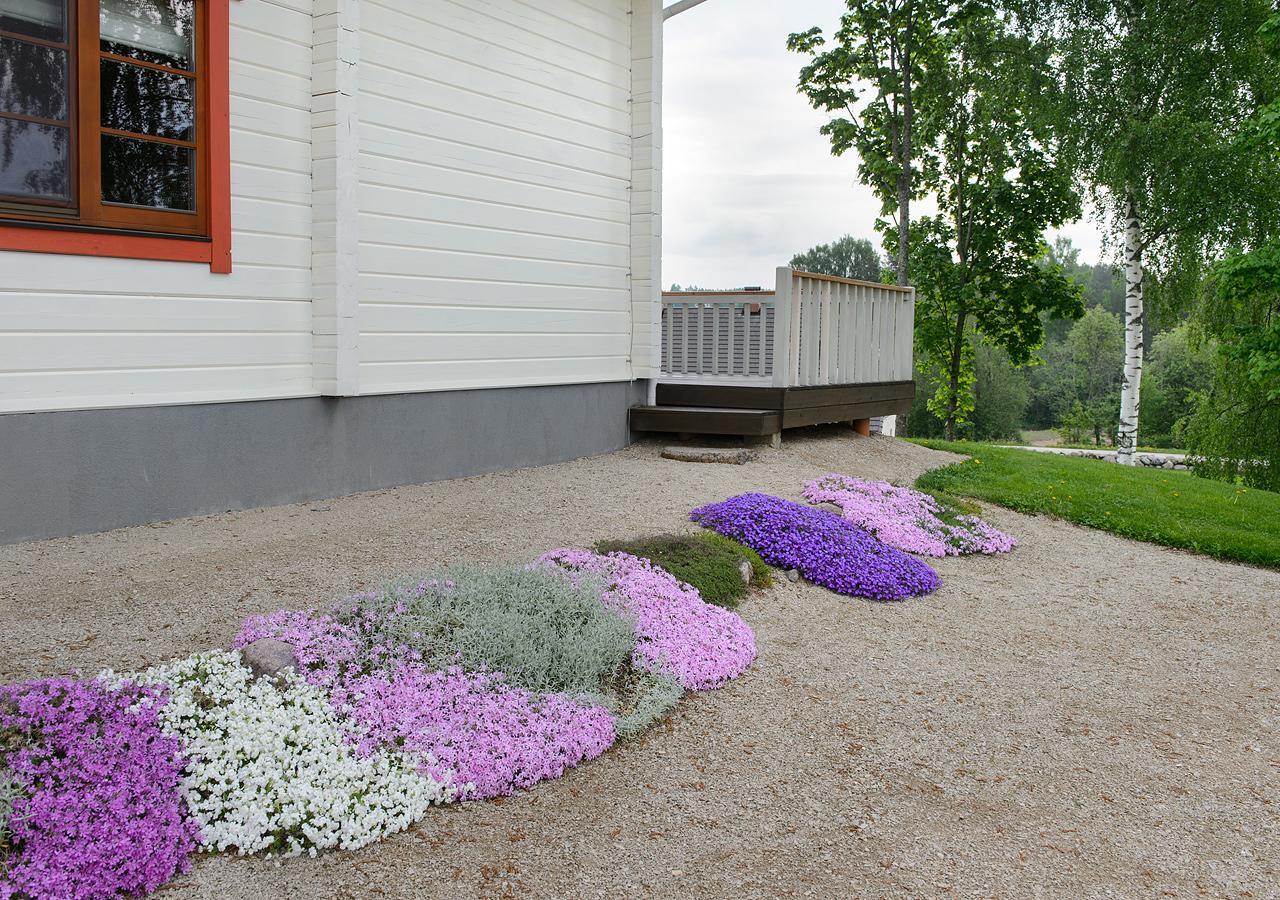 Vasekoja Holiday Center Vahtseliina Exteriör bild